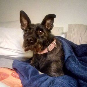 Want to style me? Here's some info!